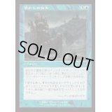 [EX+](FOIL)(旧枠仕様)潮からの蘇生/Rise from the Tides《日本語》【INR】