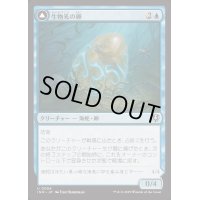 生物光の卵/Biolume Egg《日本語》【INR】