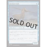 継ぎ接ぎの槍馬/Cobbled Lancer《日本語》【INR】