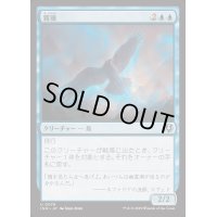霧鴉/Mist Raven《日本語》【INR】