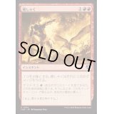 [EX+](FOIL)癇しゃく/Fiery Temper《日本語》【INR】
