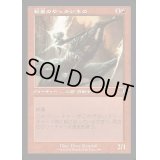 [EX+](FOIL)(旧枠仕様)稲妻のやっかいもの/Lightning Mauler《日本語》【INR】