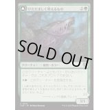 [EX+](FOIL)けたたましく吠えるもの/Shrill Howler《日本語》【INR】