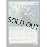 [EX+](FOIL)もつれ樹/Lumberknot《日本語》【INR】