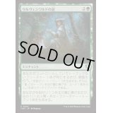 [EX+](FOIL)ウルヴェンワルドの謎/Ulvenwald Mysteries《日本語》【INR】