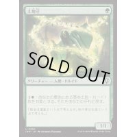 [EX+](FOIL)土地守/Groundskeeper《日本語》【INR】