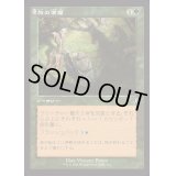 [EX+](FOIL)(旧枠仕様)旅の準備/Travel Preparations《日本語》【INR】