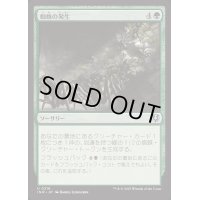 [EX+](FOIL)蜘蛛の発生/Spider Spawning《日本語》【INR】