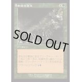 [EX+](FOIL)(旧枠仕様)蜘蛛の発生/Spider Spawning《日本語》【INR】