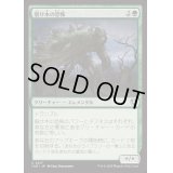 [EX+](FOIL)裂け木の恐怖/Splinterfright《日本語》【INR】