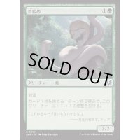 [EX+](FOIL)首絞め/Noose Constrictor《日本語》【INR】