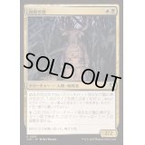 [EX+](FOIL)肉削ぎ屋/Fleshtaker《日本語》【INR】
