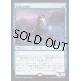 [EX+](FOIL)霊廟の放浪者/Mausoleum Wanderer《日本語》【INR】