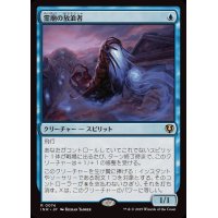 霊廟の放浪者/Mausoleum Wanderer《日本語》【INR】