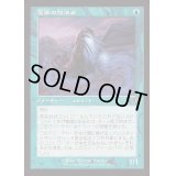 [EX+](FOIL)(旧枠仕様)霊廟の放浪者/Mausoleum Wanderer《日本語》【INR】