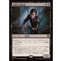 蟲惑的な吸血鬼/Captivating Vampire《日本語》【INR】