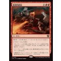 集団的抵抗/Collective Defiance《日本語》【INR】