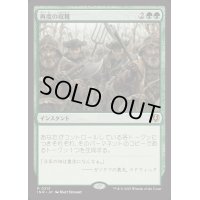 [EX+](FOIL)再度の収穫/Second Harvest《日本語》【INR】