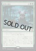 [EX+]異界の進化/Eldritch Evolution《日本語》【INR】