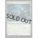 [EX+]異界の進化/Eldritch Evolution《日本語》【INR】