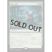 [EX+]異界の進化/Eldritch Evolution《日本語》【INR】