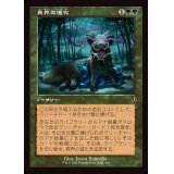 [EX+](旧枠仕様)異界の進化/Eldritch Evolution《日本語》【INR】