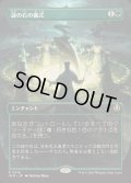 [EX+](フルアート)謎の石の儀式/Cryptolith Rite《日本語》【INR】