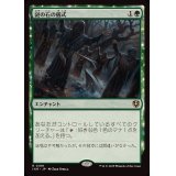 謎の石の儀式/Cryptolith Rite《日本語》【INR】