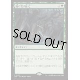 [EX+](FOIL)謎の石の儀式/Cryptolith Rite《日本語》【INR】