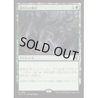 [EX+](FOIL)謎の石の儀式/Cryptolith Rite《日本語》【INR】
