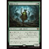 隠遁ドルイド/Hermit Druid《日本語》【INR】