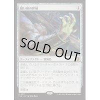 [EX+](FOIL)縫い師の移植/Stitcher's Graft《日本語》【INR】