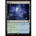 夢根の滝/Dreamroot Cascade《日本語》【INR】
