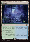 夢根の滝/Dreamroot Cascade《日本語》【INR】