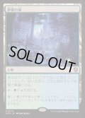 [EX+](FOIL)夢根の滝/Dreamroot Cascade《日本語》【INR】