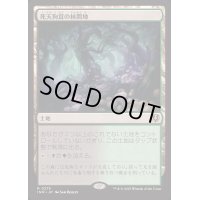 [EX+](FOIL)死天狗茸の林間地/Deathcap Glade《日本語》【INR】