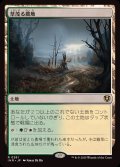 草茂る農地/Overgrown Farmland《日本語》【INR】