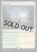 草茂る農地/Overgrown Farmland《日本語》【INR】