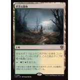 草茂る農地/Overgrown Farmland《日本語》【INR】