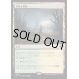 (FOIL)草茂る農地/Overgrown Farmland《日本語》【INR】