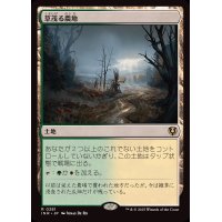 草茂る農地/Overgrown Farmland《日本語》【INR】