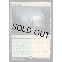(FOIL)草茂る農地/Overgrown Farmland《日本語》【INR】