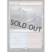 [EX+](FOIL)難破船の湿地/Shipwreck Marsh《日本語》【INR】