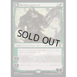 画像1: [EX+]情け知らずのガラク/Garruk Relentless《日本語》【INR】