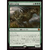 [EX+]耕作する巨躯/Cultivator Colossus《日本語》【INR】