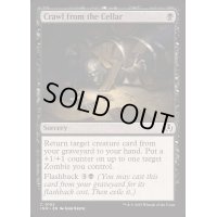 [EX+](FOIL)地下室からの這い上がり/Crawl from the Cellar《英語》【INR】