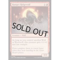 [EX+](FOIL)飢えた峰狼/Hungry Ridgewolf《英語》【INR】