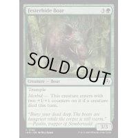 [EX+](FOIL)ただれ皮の猪/Festerhide Boar《英語》【INR】