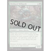 [EX+](FOIL)黴墓のヤスデ/Moldgraf Millipede《英語》【INR】