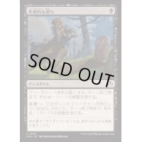 悲劇的な過ち/Tragic Slip《日本語》【INR】